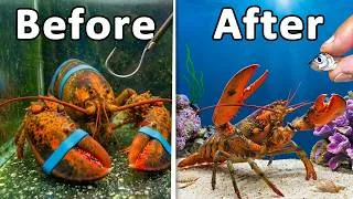 Thumbnail: I Saved Every "About to be Eaten" Animal