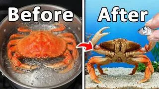 Thumbnail: I Turned a Fisherman's Dinner into my Pet