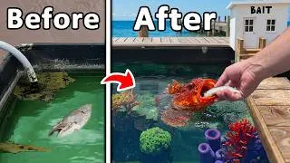 Thumbnail: I turned an OLD fish tank into a DREAM Pond 