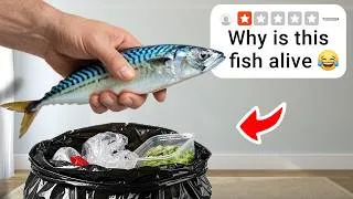 Thumbnail: Why does Everyone Hate the BEST Fish?
