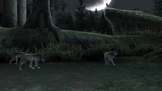 Thumbnail: Wolves' Den | Tekken 5: Dark Resurrection