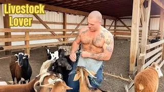 Thumbnail: JD Miller Loves Livestock & Village Life