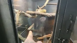 Thumbnail: water monitor update