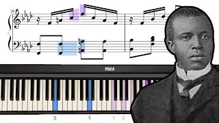 Thumbnail: Maple Leaf Rag (Part B) | Piano Play-Along