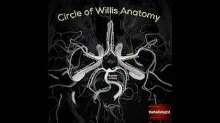 Thumbnail: Meet Overview of Cerebral Blood Supply - Dr David HAKIZIMANA (Neuro-surgeon)