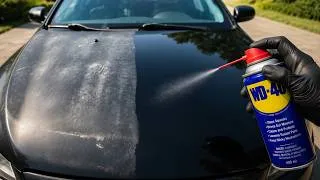 Thumbnail: The hidden power of wd-40 that no one knows about. You'll be shocked.