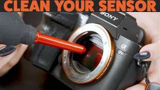 Thumbnail: How To Clean Your Camera Sensor and Lenses Tutorial