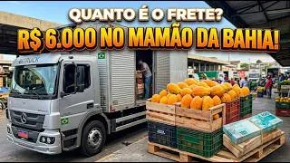 Thumbnail: QUANTO É O FRETE NO BITRUCK REFRIGERADO?Carga de Mamão da Bahia para o CEASA: R$ 6.000 Valer a Pena?