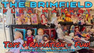 Thumbnail: Toys + Radiation = Fun at the Brimfield Flea Market! July  2026, Part 5!