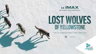 Thumbnail: Lost Wolves of Yellowstone | Official Trailer