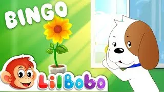 Thumbnail: BINGO - Grow a Plant | Little BoBo Nursery Rhymes | Flickbox Kids