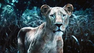Thumbnail: SCAR & MUFASA Meet Sarabi & Zazu - Mufasa The Lion King Official Clip