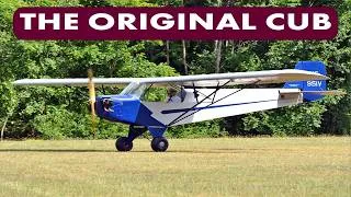 Thumbnail: THE CUB BEFORE THE CUB
