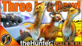 Thumbnail: 3 DIAMONDS in a ROW! | Peru Multiplayer Hunt in theHunter Call of the Wild!