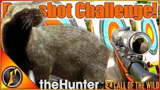 Thumbnail: Did a RARE Grison Cost Me This Perfect Shot Challenge?!? | Call of the Wild