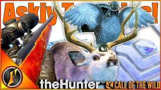 Thumbnail: DILUTE Mule Deer and MORE on Askiy Ridge Multiplayer! | Call of the Wild