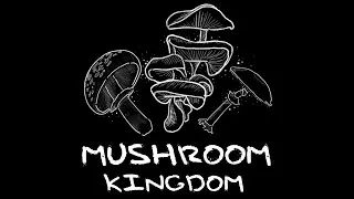 Thumbnail: Mushroom Kingdom Playthrough