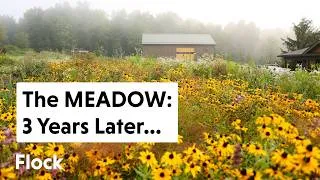 Thumbnail: We COVERED This GRASS for a YEAR....Here's What Happened! — Ep. 386
