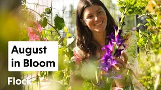 Thumbnail: How I Keep My COTTAGE GARDEN BLOOMING Into AUGUST— Ep. 385