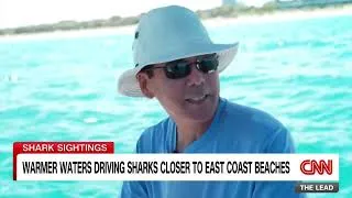 Thumbnail: Florida Atlantic's Stephen Kajiura Highlights Shark Migration to East Coast Beaches | CNN