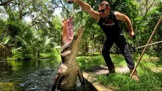 Thumbnail: Feeding gator a rack of ribs & vlog!! 
