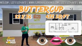 Thumbnail: TRU MINI Tiny Home House Tour | 12' x 36' 1 Bed 1 Bath 432 Sq Ft (2026)