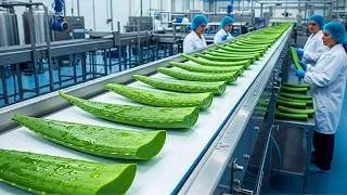 Thumbnail: Inside a Modern Aloe Vera Yogurt Factory: From Fresh Aloe Vera to Premium Aloe Vera Yogurt