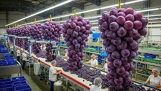 Thumbnail: Inside a Modern Grape Factory: From Fresh Grapes to Premium Grape Wine (Full Process)