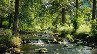 Thumbnail: No AI - Pure Nature: 4K Summer Creek - Gentle Forest Stream Sounds for Deep Relaxation & Sleep