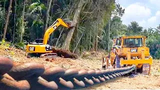 Thumbnail: Land Clearing with Excavator and Chained Bulldozer - Deforestation for Agriculture