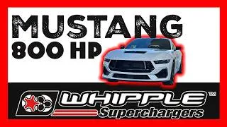 Thumbnail: Your Ford Mustang NEEDS A Whipple!