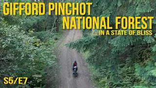 Thumbnail: In A State Of Bliss | Bike Touring Washington's Gifford Pinchot National Forest | S5 \ E7
