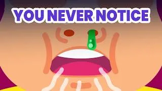 Thumbnail: The Real Danger Isn't the Snoring