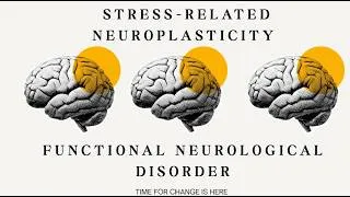 Thumbnail: Stress & FND: What the Latest Research Shows