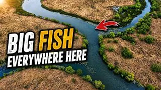 Thumbnail: This Tiny Lagoon was LOADED With Fish! (Catch & Cook)