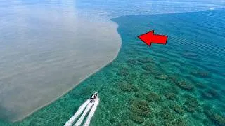 Thumbnail: This REMOTE Coastline was LOADED with Fish!