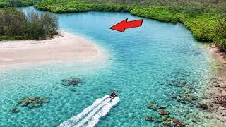 Thumbnail: This TINY Creek was LOADED with Fish!