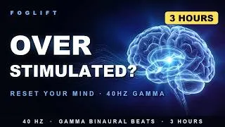 Thumbnail: 3 Hour Overstimulated Brain Reset | 40Hz Gamma to Calm a Restless, Overloaded Mind