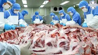 Thumbnail: 한우 한 마리에서 무려 39개 부위가!? 쉴 틈 없는 육가공 현장 / One Cow, 39 Beef Cuts!? Inside a Busy Beef Processing Plant