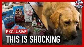 Thumbnail: 7 UK Dog Food Brands YOU Must Avoid (And 2 That Are Worth Buying)