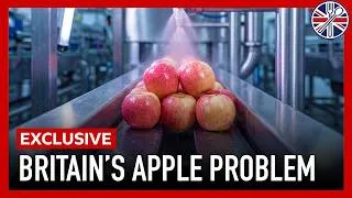Thumbnail: Don't Buy These Apples From UK Supermarkets (And Where To Buy The Best Apples Instead)