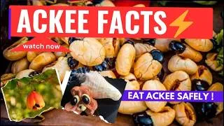 Thumbnail: Ackee Fruit | Health Benefits, Taste & Nutrition Explained