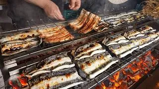 Thumbnail: 사람도 안 다니는 시골 구석에서 1400도 짚불 숯장어로 대박난 장어덮밥집 등. 맛있는 장어덮밥영상 몰아보기┃Japanese Eel Rice Bowl/KoreanStreetFood