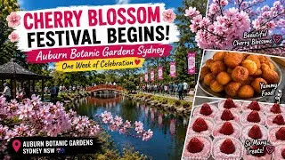 Thumbnail: Cherry Blossom Festival Begins | Auburn Botanic Gardens Sydney | Food, Flowers & Garden Walk