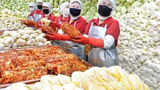 Thumbnail: 압도적인 위생과 규모! 대한민국 김치 공장의 놀라운 김치 대량생산 과정 몰아보기 / Amazing korean kimchi factory / Korean street food