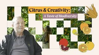 Thumbnail: A Hidden Citrus Garden That Holds a Powerful Message About Nature