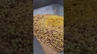 Thumbnail: Making  Roti  Humus using automatic machine