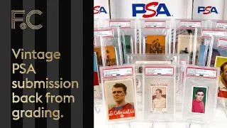 Thumbnail: PSA vintage card submission reveal
