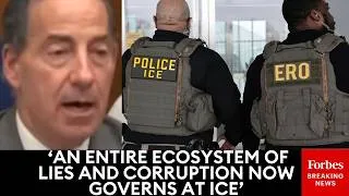 Thumbnail: 'ICE And DHS Traffic In Lawless Violence': Raskin Blasts 'Spiking' Rate Of Death In ICE Custody