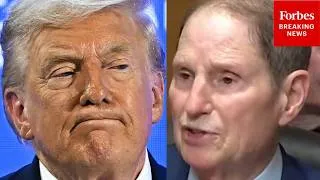 Thumbnail: Ron Wyden: 'Trump Lowered Tariffs On Switzerland After Swiss Billionaires Gifted Trump A Gold Bar!'